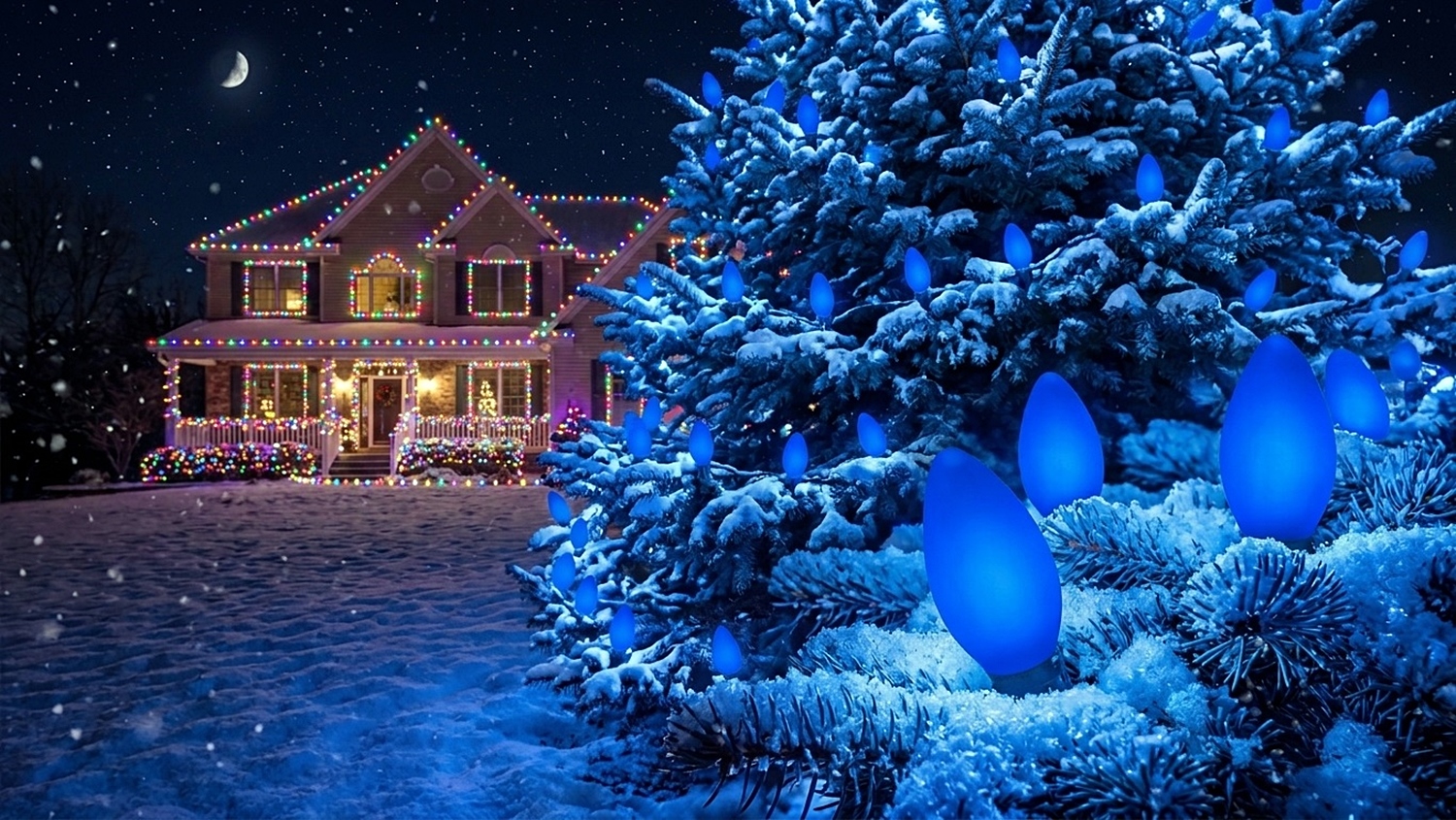 Snow-covered pine tree outdoors at night glowing brightly with illuminated C9 Opaque Blue Christmas lights, with a decorated house in the background.